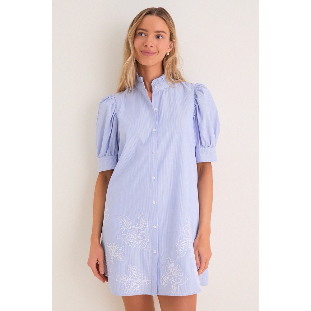 HYACINTH HOUSE Blue Embroidered Pinstripe Louisa Mini Dress $158 NWT SIZE L